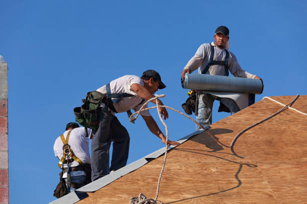 Best Storm Damage Roof Repair  in Utqiagvik, AK