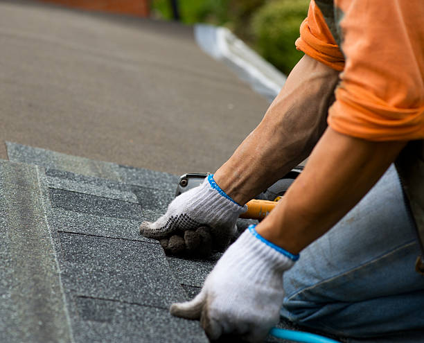 Best Roof Leak Repair  in Utqiagvik, AK