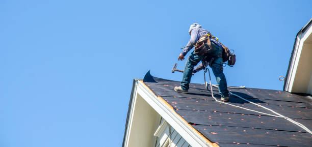 Best Roof Repair Services  in Utqiagvik, AK